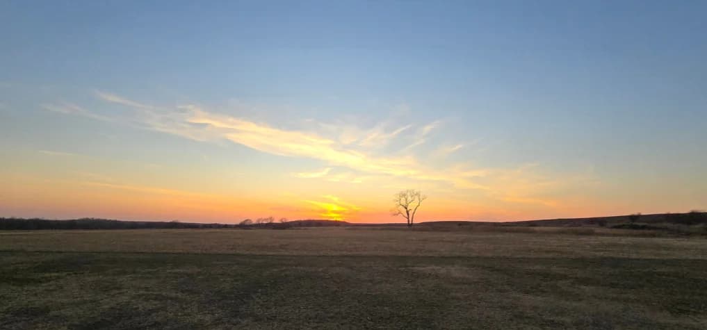 Cattle grazing on the Salt Creek ranch